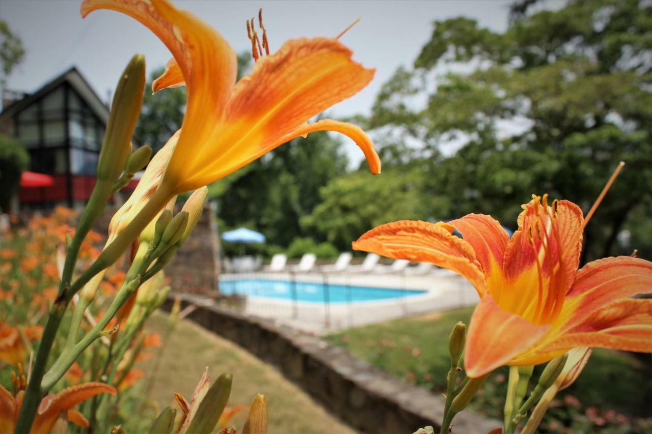 Chalet Inn ガトリンバーグ エクステリア 写真